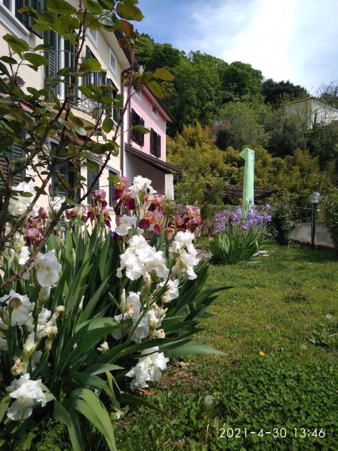 Alle Rose Barcolane Trieste Eksteriør billede